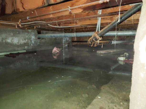Best Emergency water damage restoration  in Plainfield Village, CT