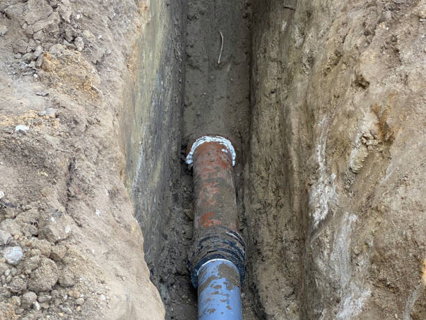 Best Local water damage restoration  in Plainfield Village, CT