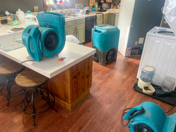 Best Water damage restoration near me  in Plainfield Village, CT