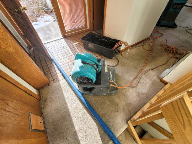 Best Water damage cleanup near me  in Plainfield Village, CT