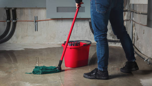 Best Sewage cleanup and water damage restoration  in Plainfield Village, CT