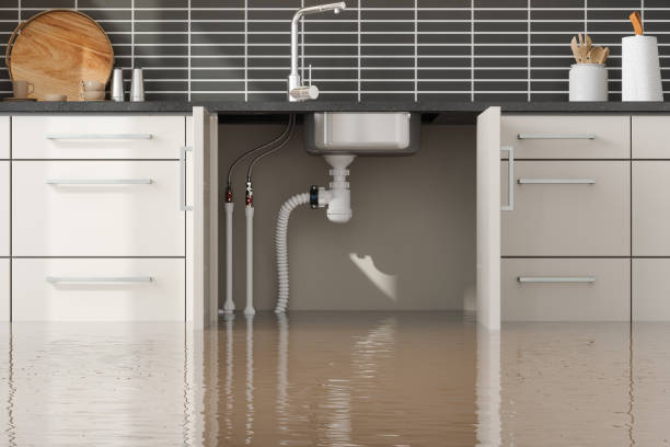  Plainfield Village, CT Water damage restoration Pros