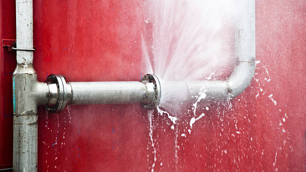Best Professional water damage repair  in Plainfield Village, CT
